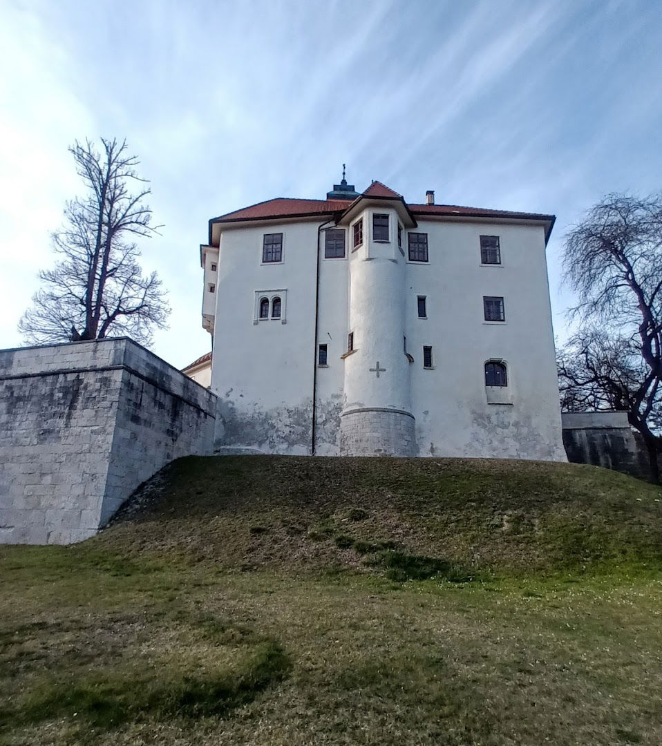 Pišece Castle