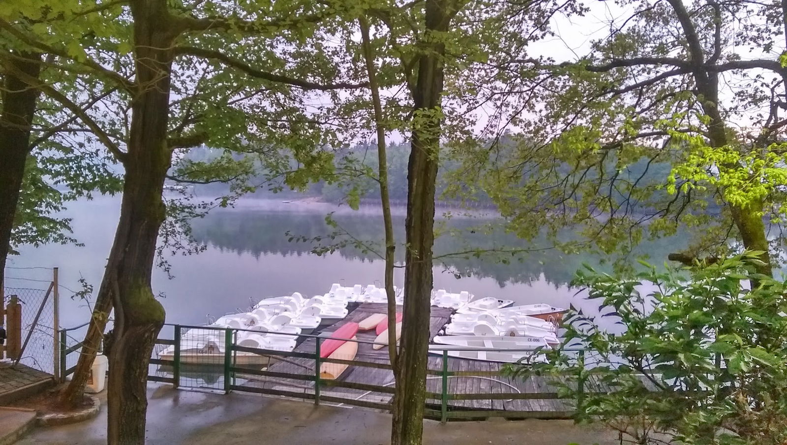 Terapije za Zdravje in dobro počutje, Vlasta Zimšek s.p.