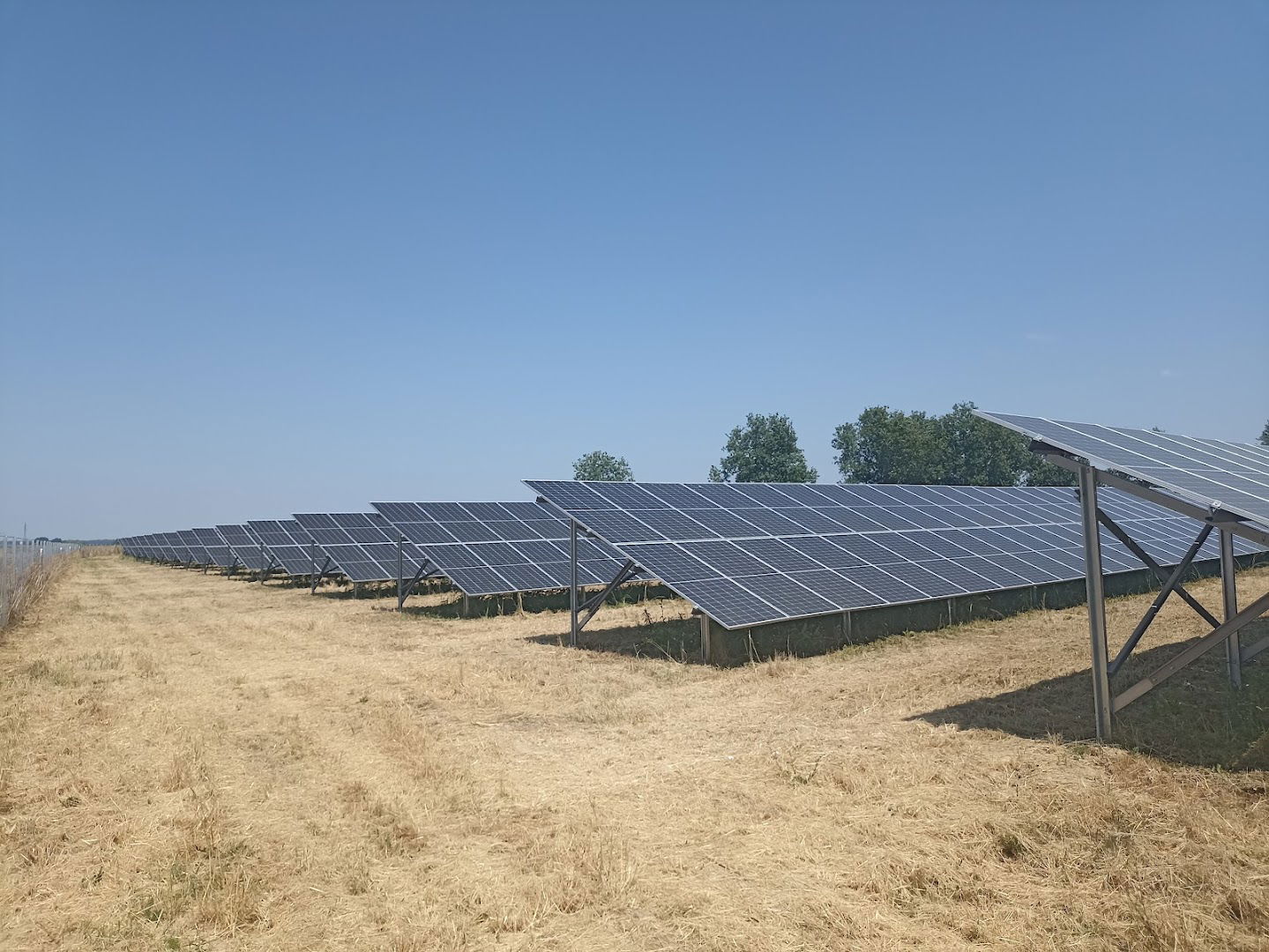 Fotonaponska elektrana Pčelić