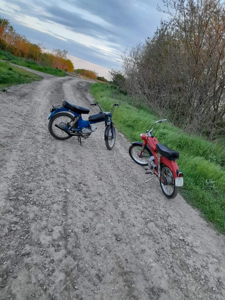 Servis Tomos Komanca