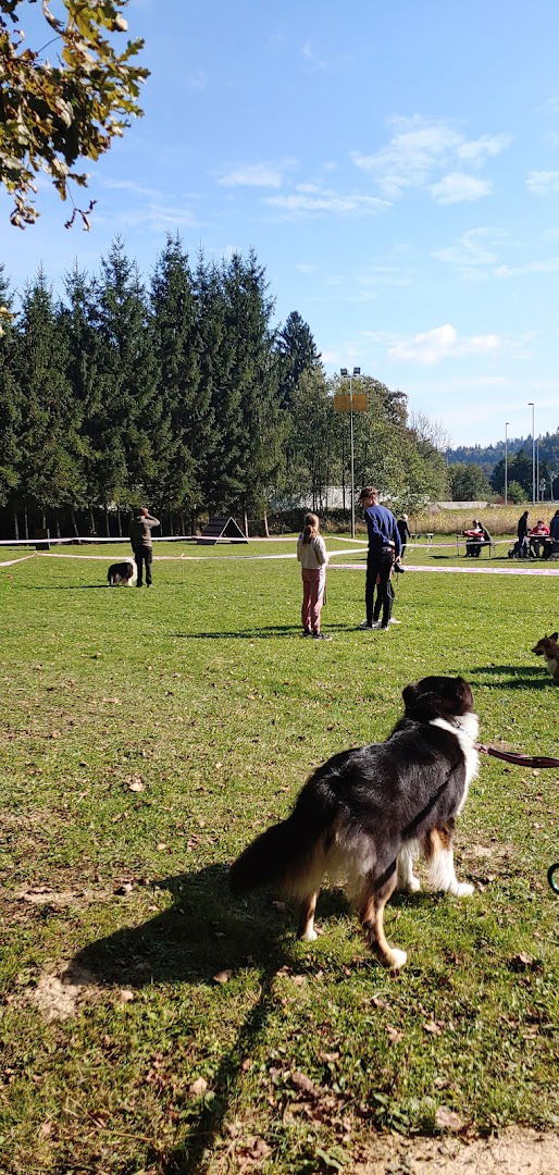 Kinološko društvo Domžale