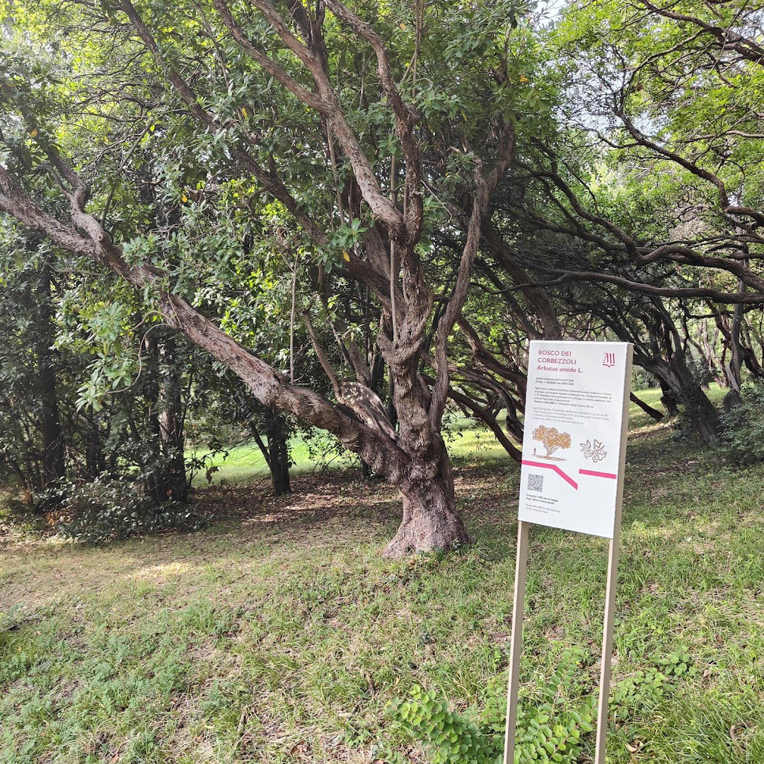 Bosco dei Corbezzoli