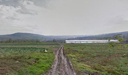 Mirisno i Sjajno D.O.O