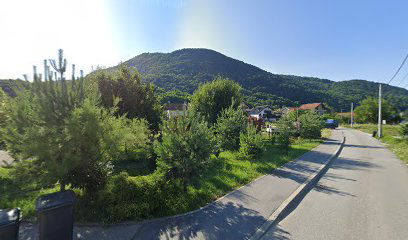 Hunter's Enigma - uzgajivačnica pasa i Maine Coon mačaka, Hrvatska