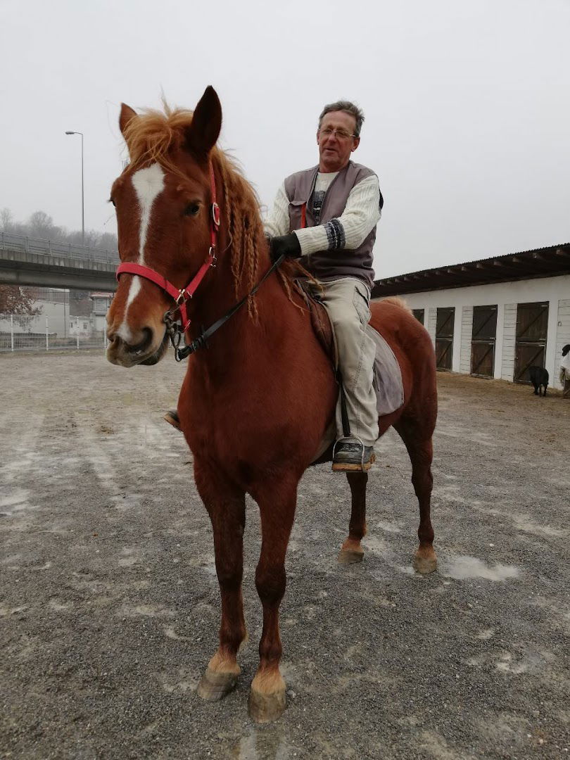 Konjički Klub Lucijan - Škola Jahanja - Rekreativno Jahanje