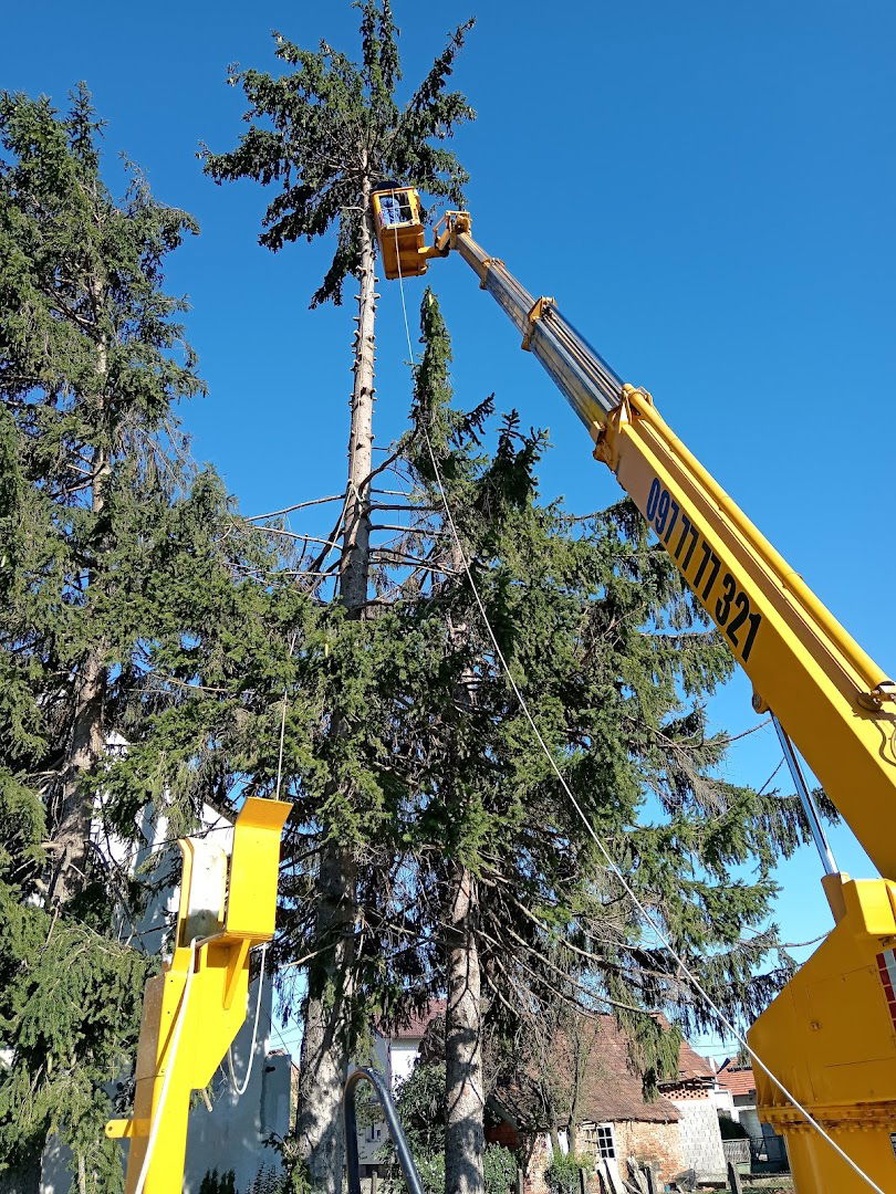Auto košara (25m)najam