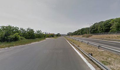 Electro Eastern Projective Biro