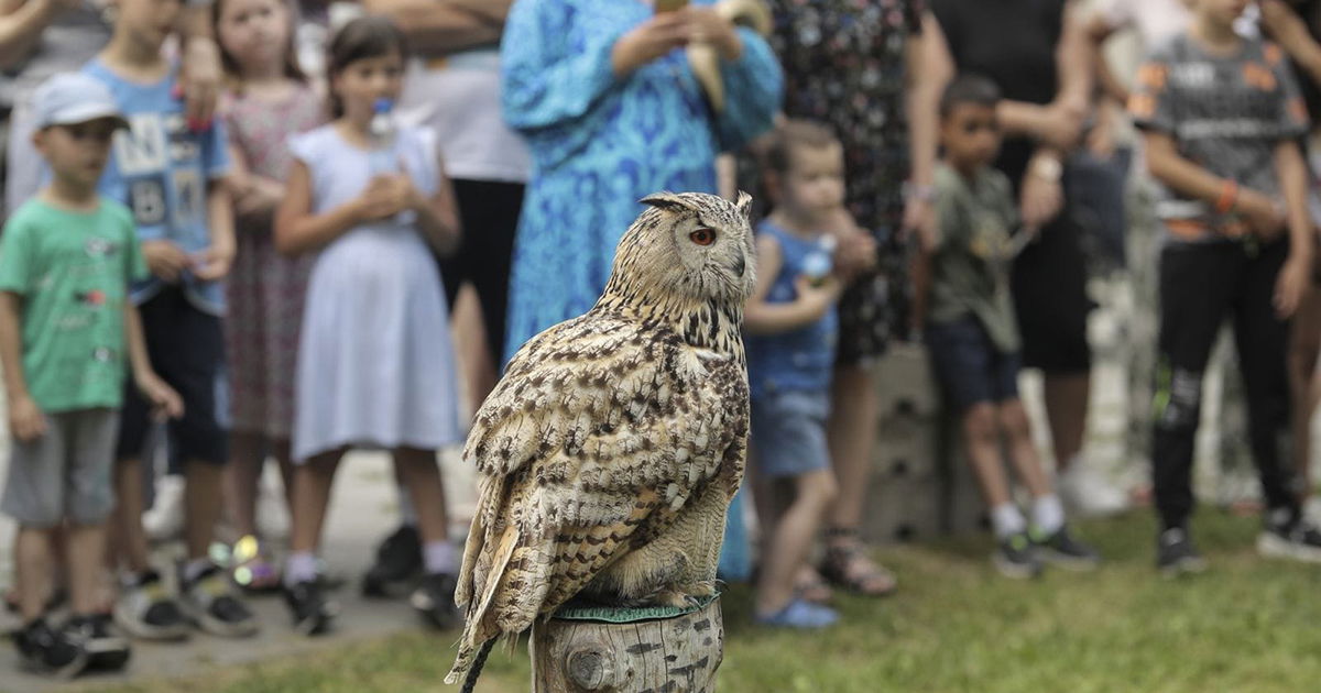 Rodjendaonica u prirodi