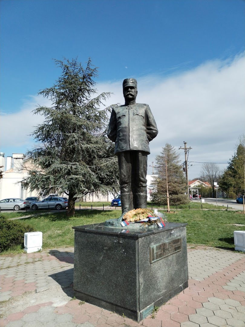 Војвода Степa Степановић