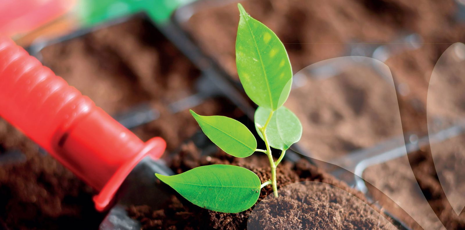 CPM International d.o.o.