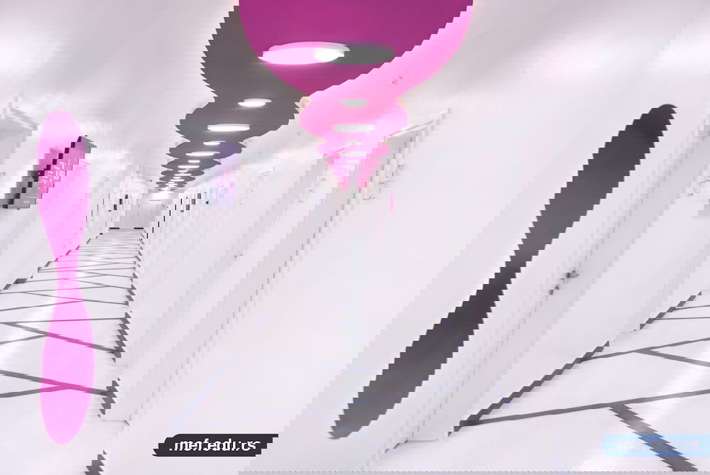 МЕФ - Факултет за примењени менаџмент, економију и финансије