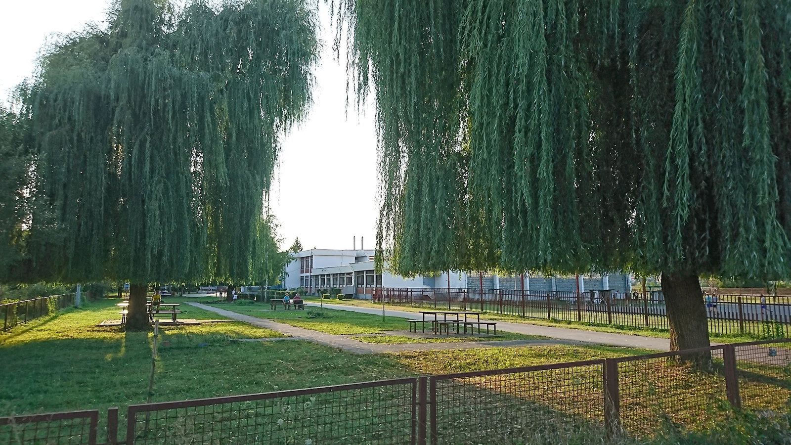 Osnovna škola Petar Mećava