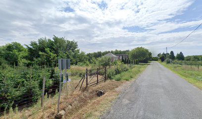 Somogybükkösd, szőlőhegy