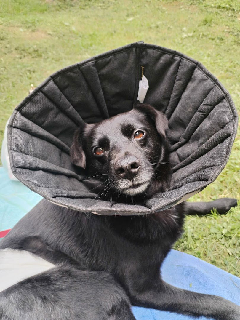 Veterinarska ambulanta Vet Plus d.o.o.