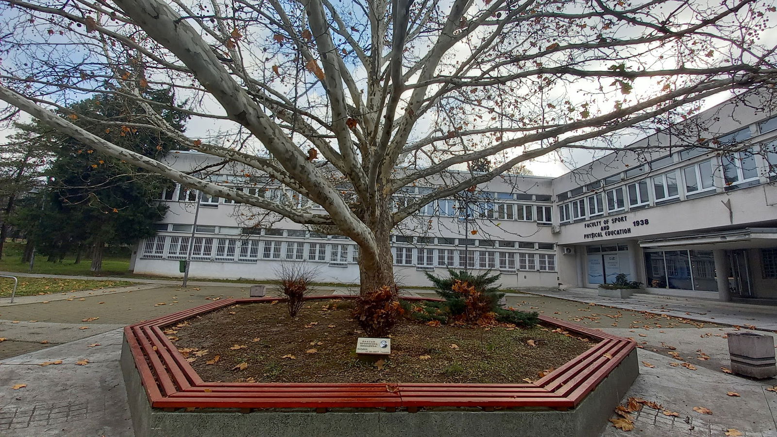 Faculty of sport and physical education, University of Belgrade