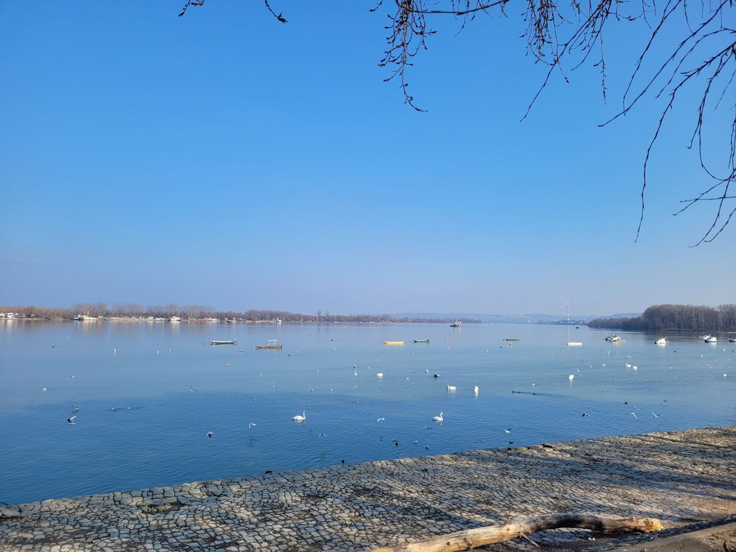 Zemun Riverside