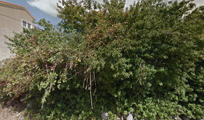 Meštar trgovina d.o.o.