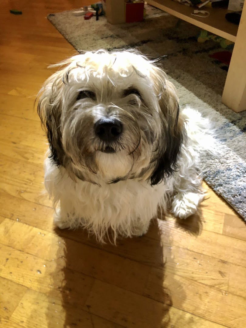 Veterinarska ambulanta Vita