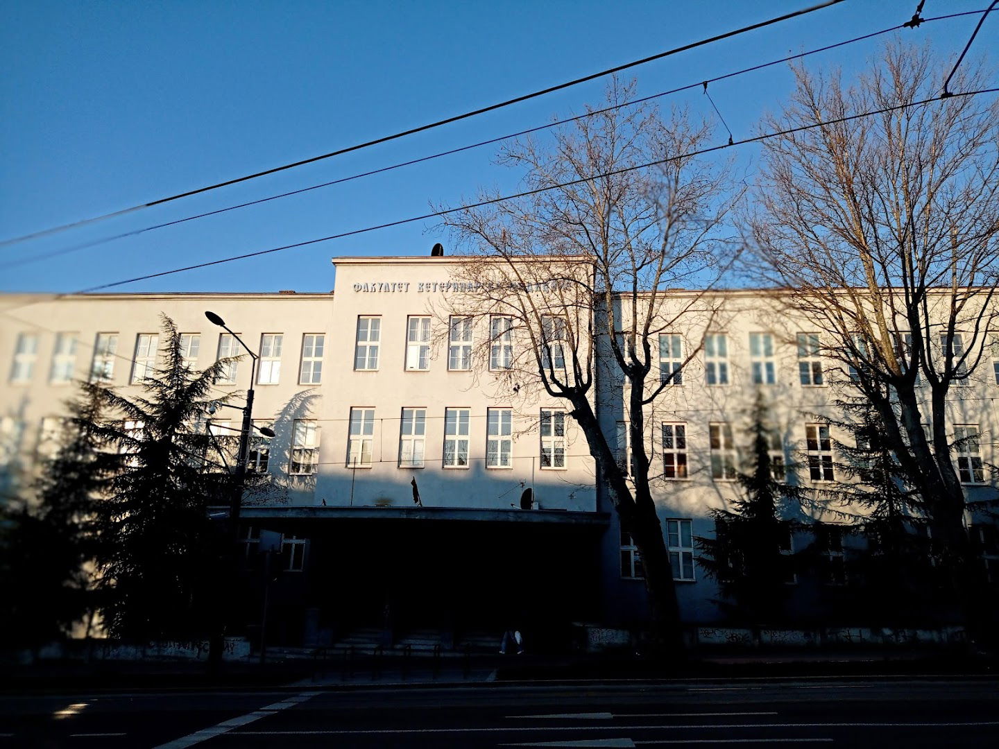 Faculty of Veterinary Medicine