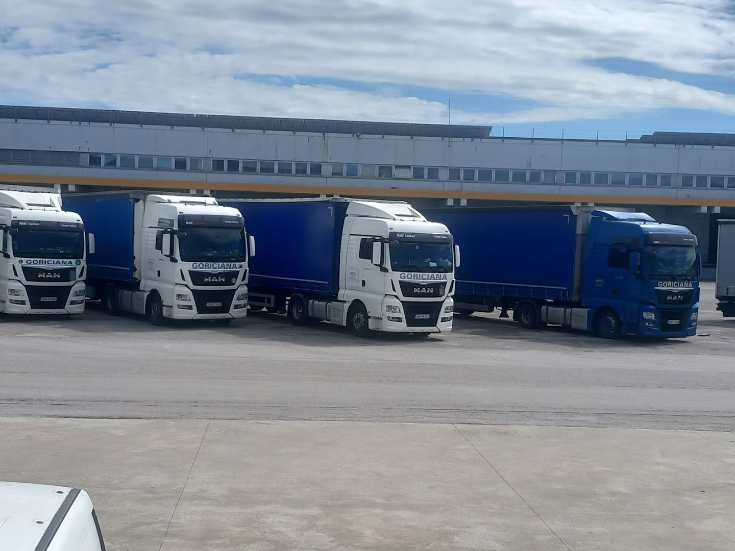 E. Spe.Go. Deposito Fiscale