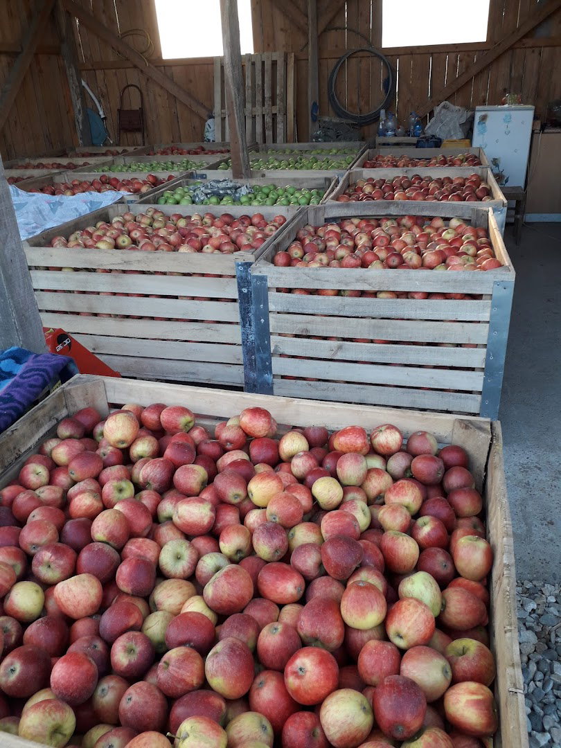 Sibenac Vocnjak Filipovici