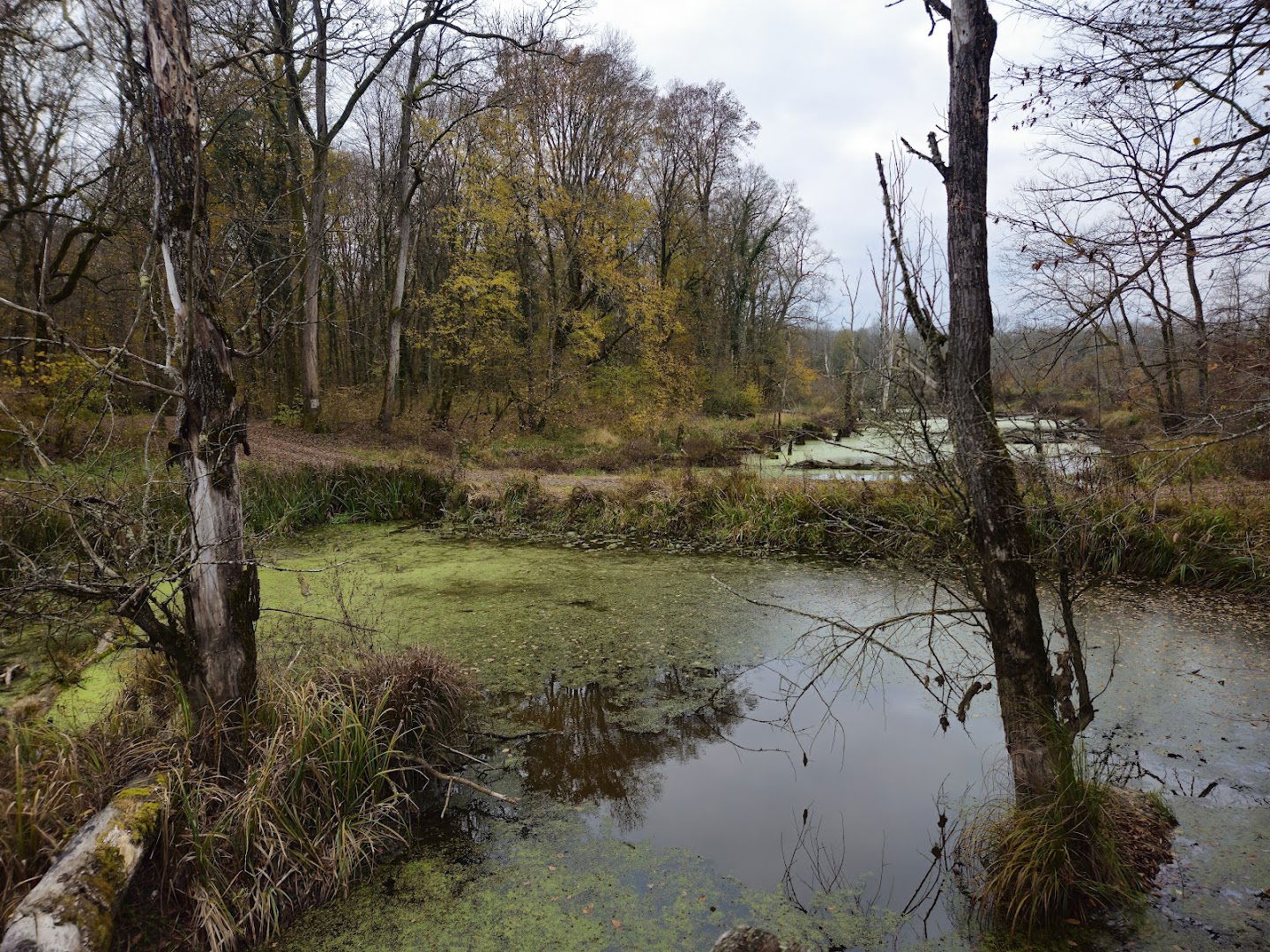 Ribarska kuća Česma