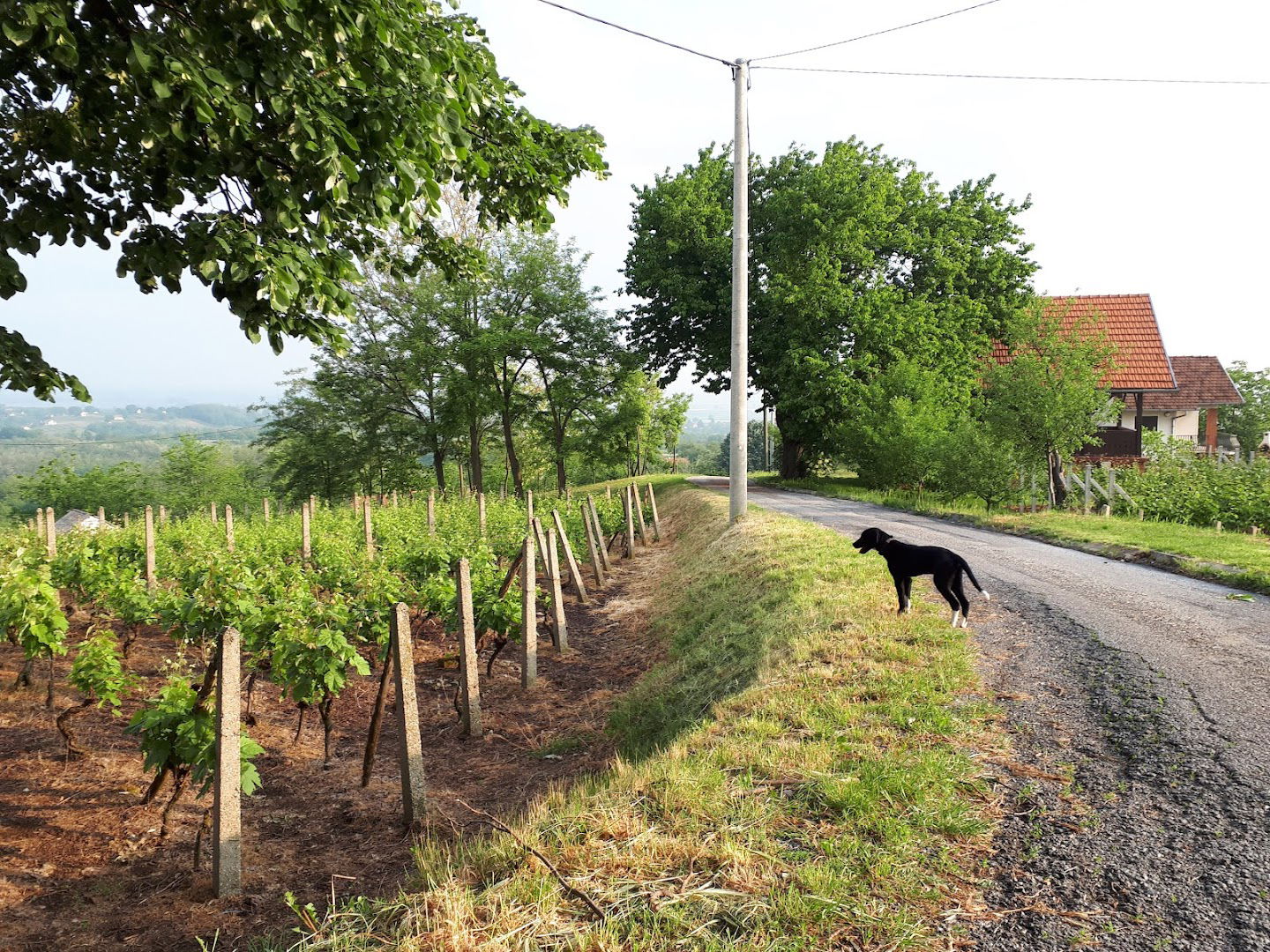 Meteorolška postaja Bilogora