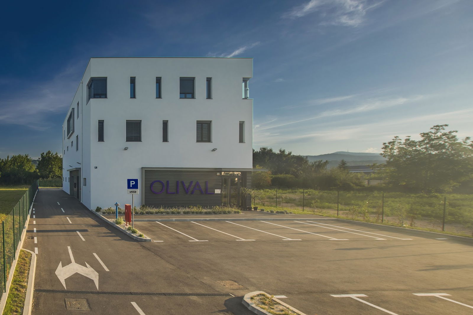 Olival Ltd.