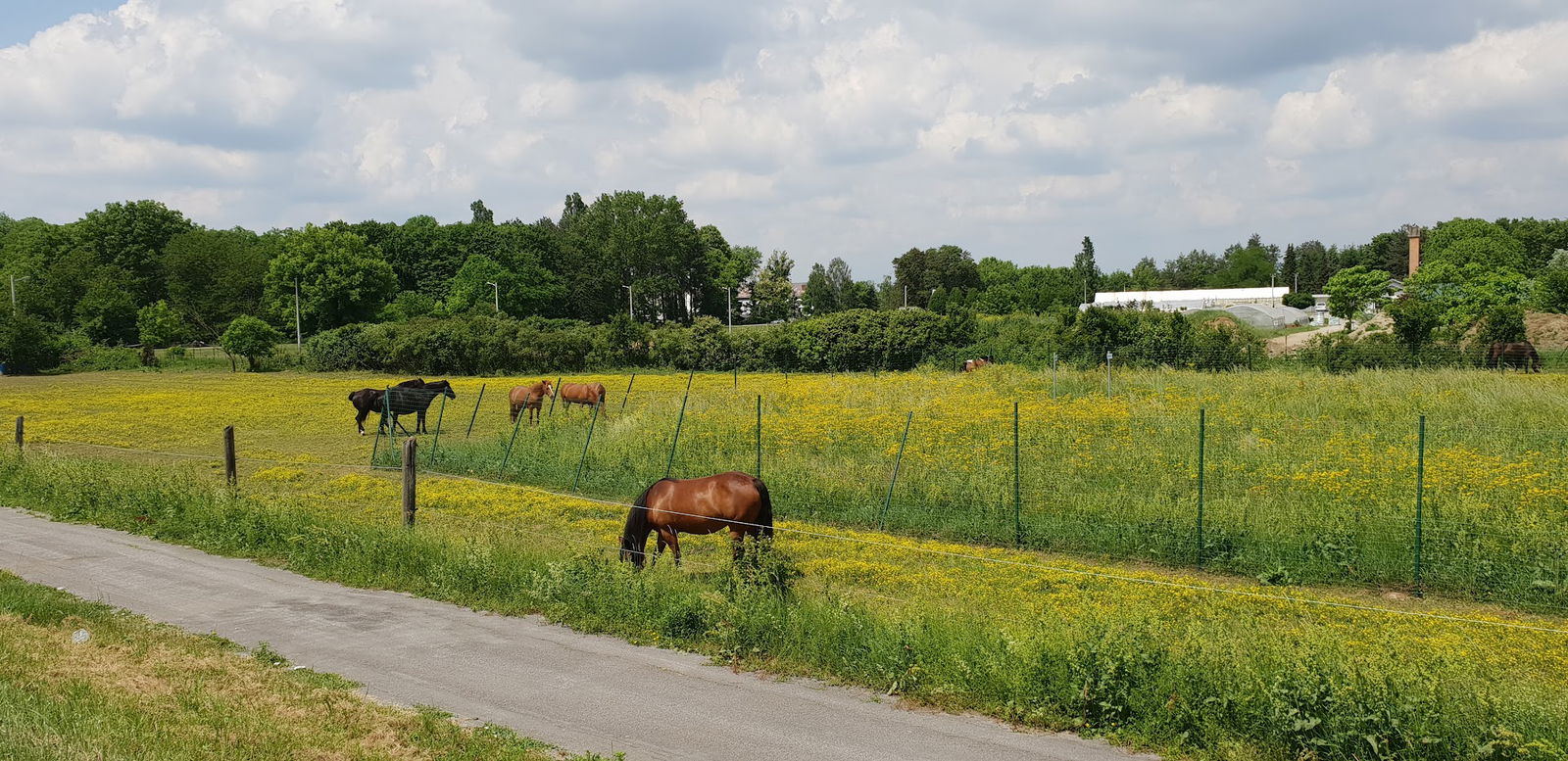 Poligon kinološko-športskog kluba Karlovac