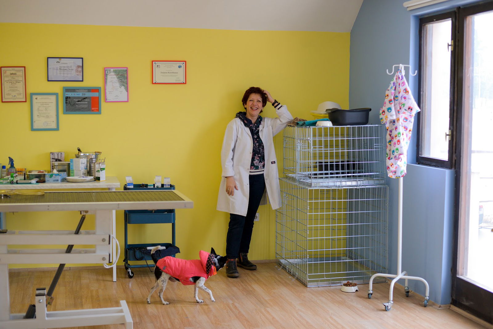 veterinarska ambulanta "meowoof"