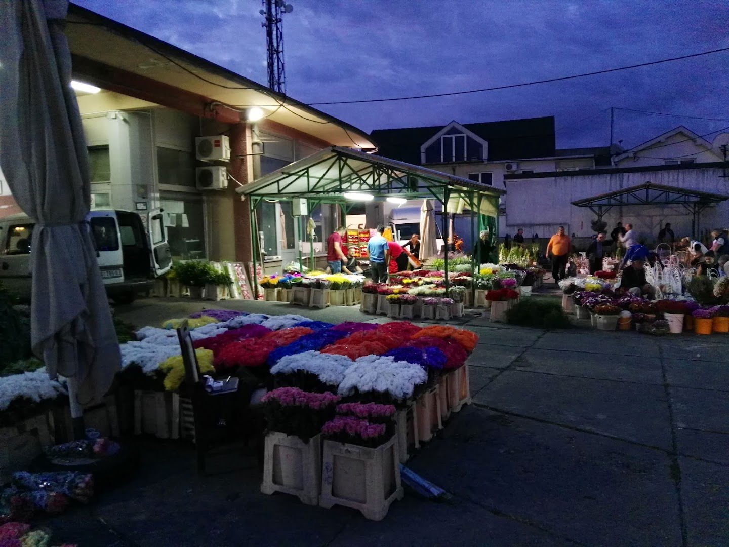 Flower Market - Krnjača