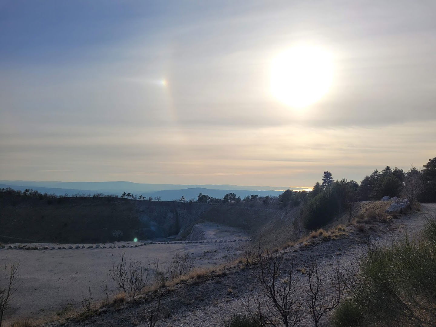 Bosco Bazzoni/Bazzonijev gozd