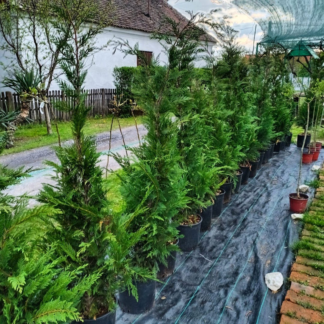 Rasadnik Garden Beljic