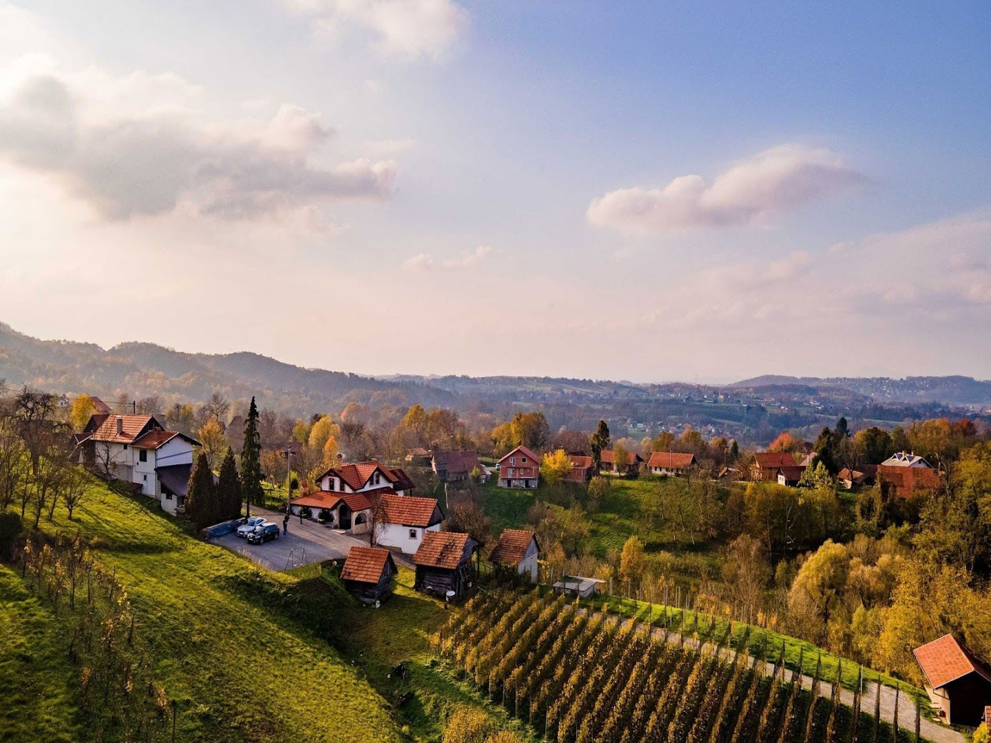 Vinogradarov San, Donja Stubica