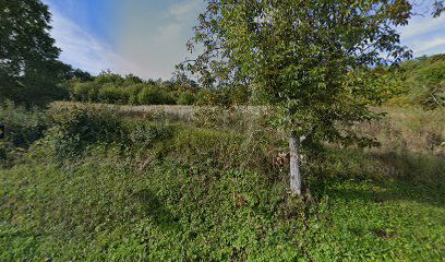 Gradski Vrhovci cemetery