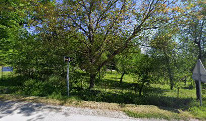 Old cemetery Jasenaš