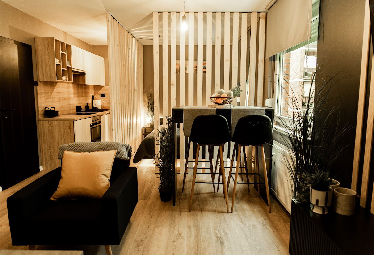 Apartman Sisak Black Velvet