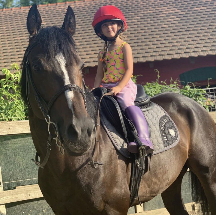 Škola Jahanja Prestige