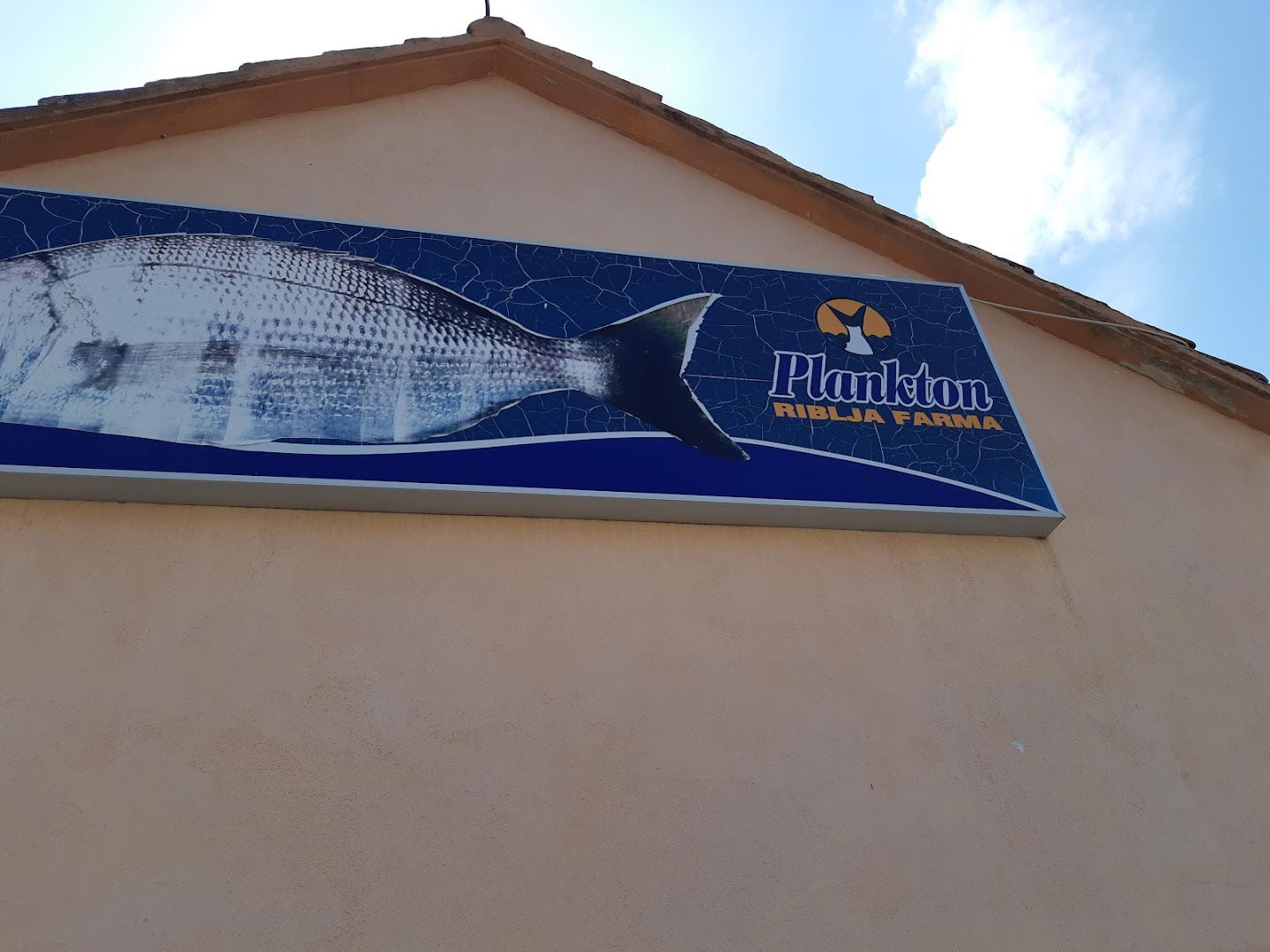 Plankton fish market