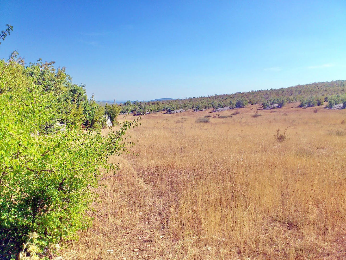 Zaseok Ćose - Kunovac