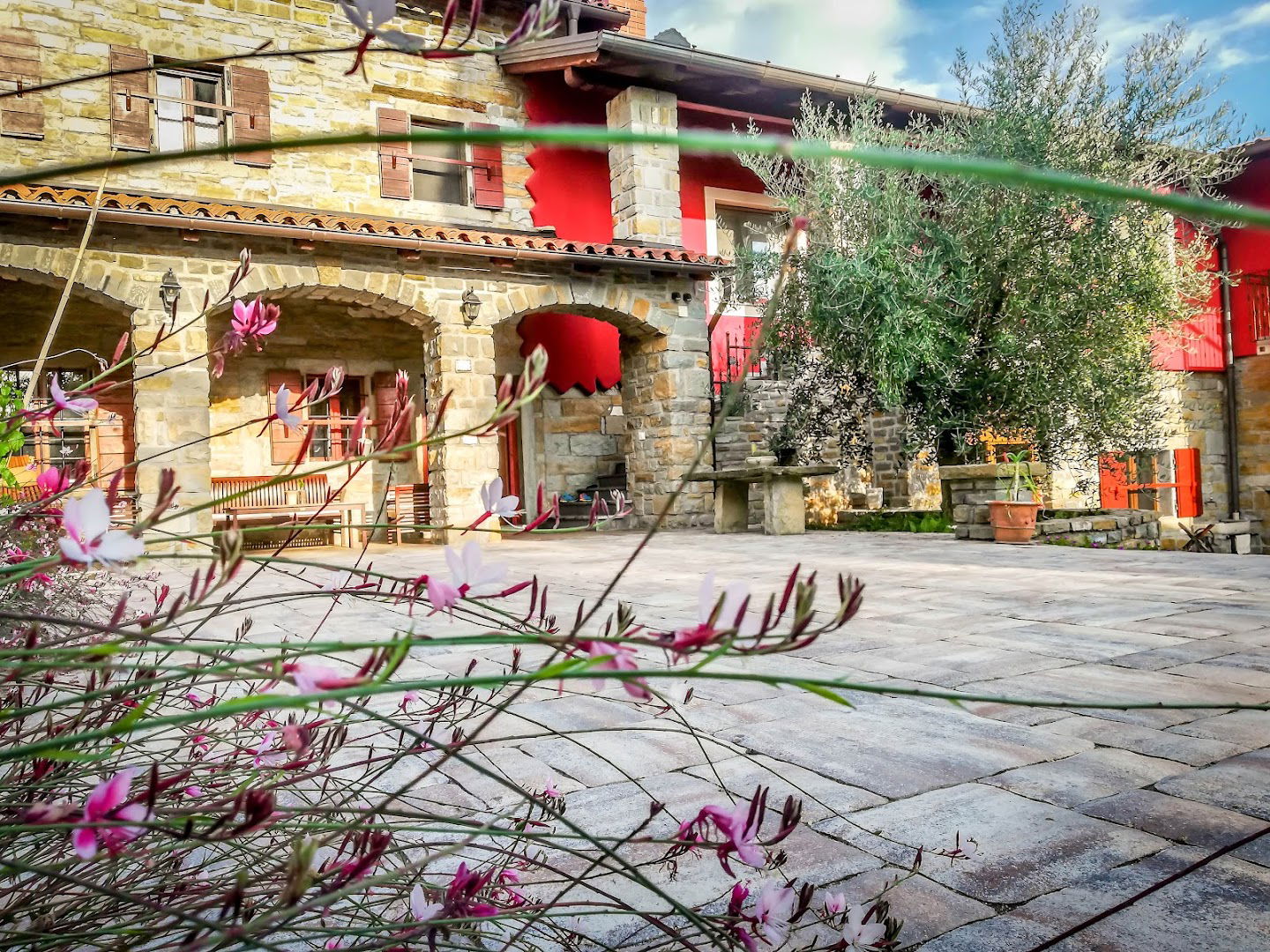 Tourist farm RED FAIRYTALE (apartments, degustations Extra virgin olive oil)