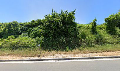 KRALJA DRŽISLAVA - PAZDIGRAD