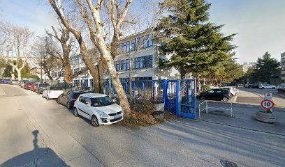 Capgemini Italia S.p.A.