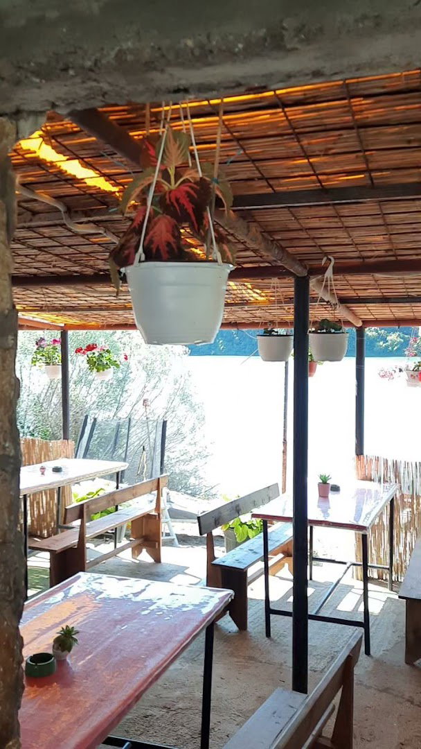 Kod Bobana Dace Alekse Vuka