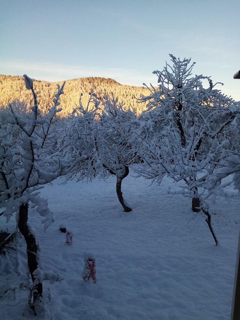 Suvenirnica Goranska kuća znanja