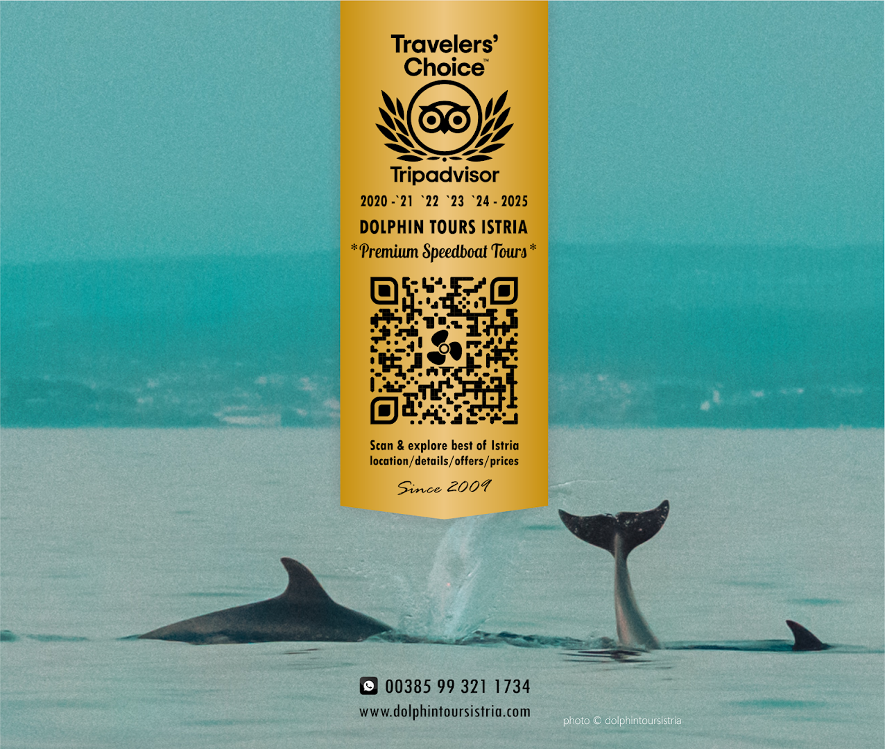 Dolphin tours Istria