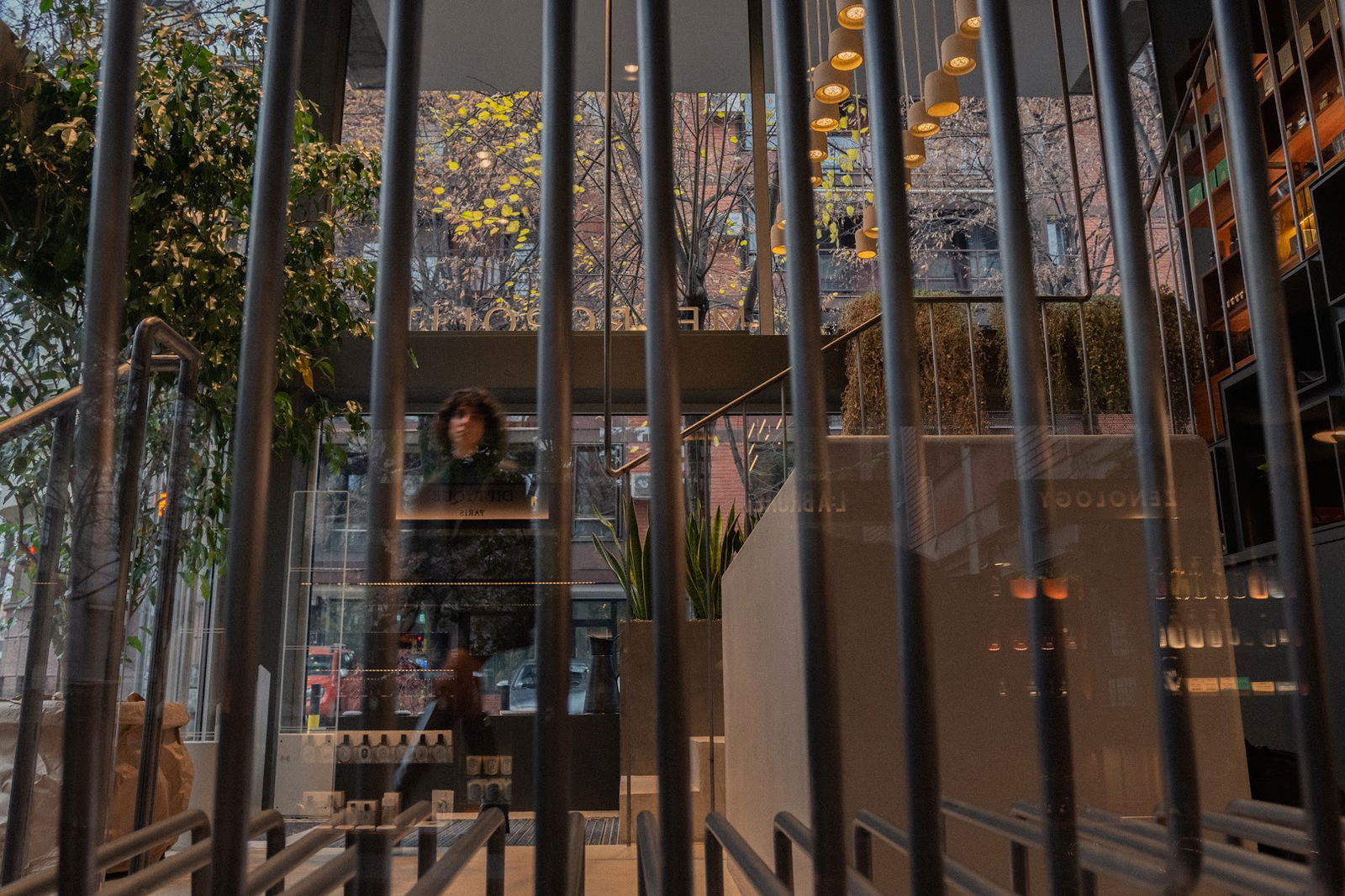 Metropoliten Vračar