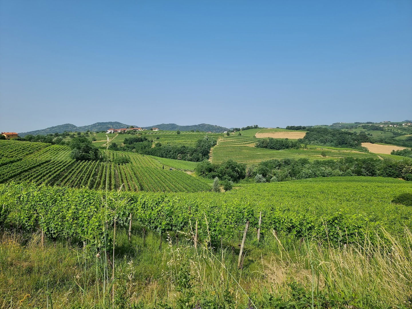 Punto panoramico Brda Collio