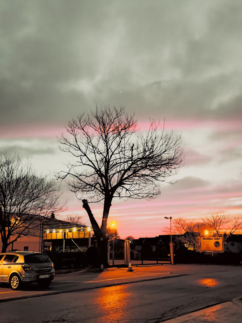 Prosenica Trade d.o.o