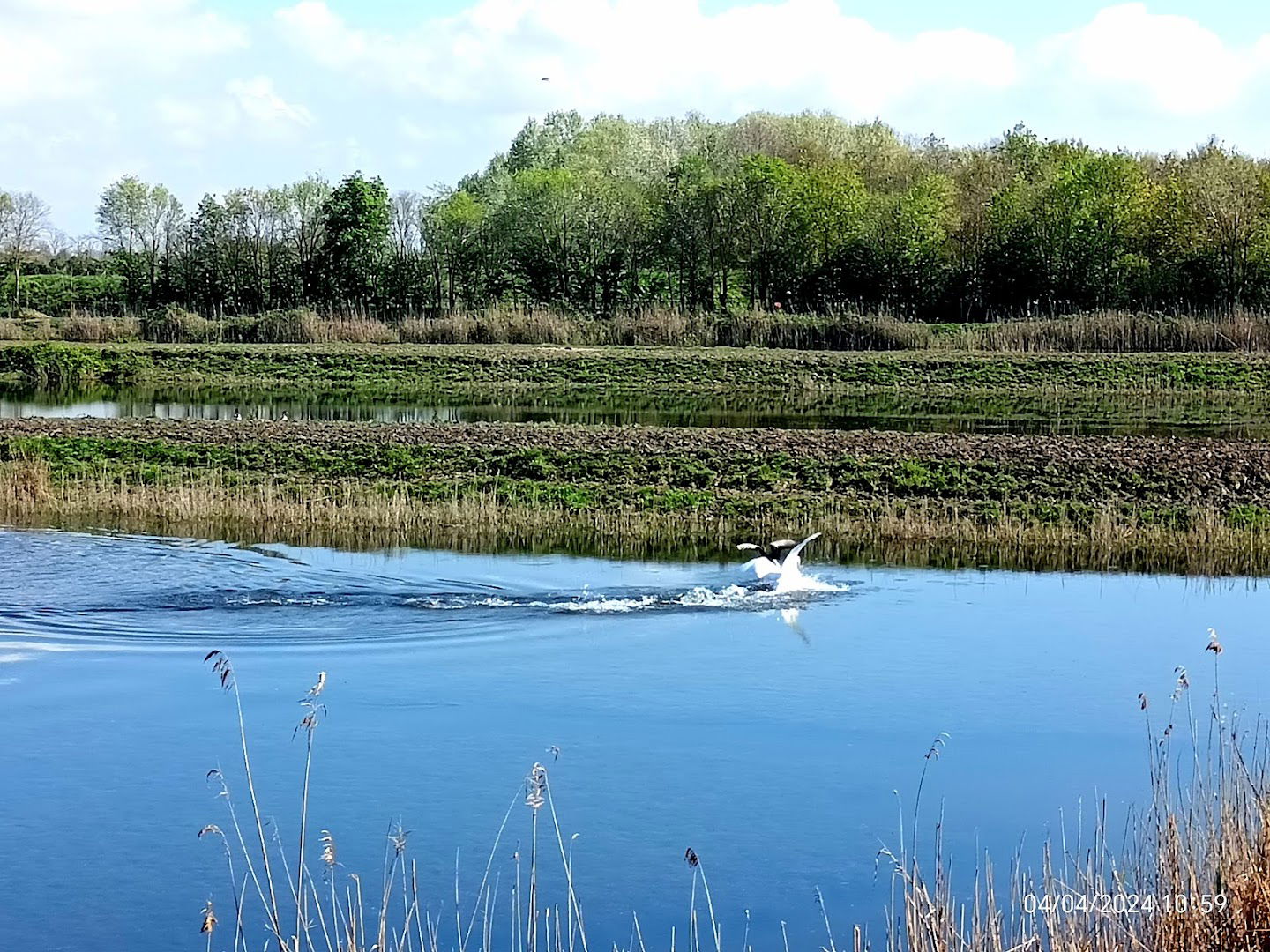 Oasi Vallevecchia di Brussa